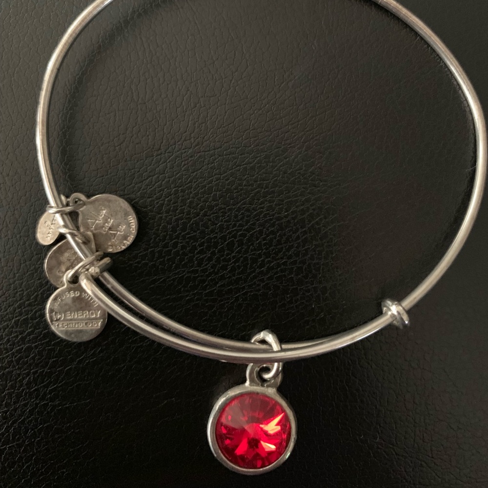 Alex and Ani charm bangle